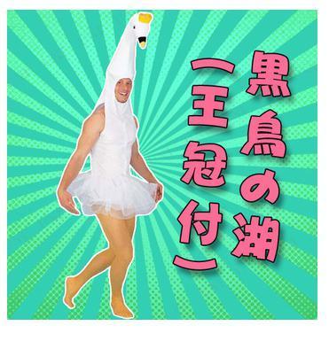 1白鳥.jpg